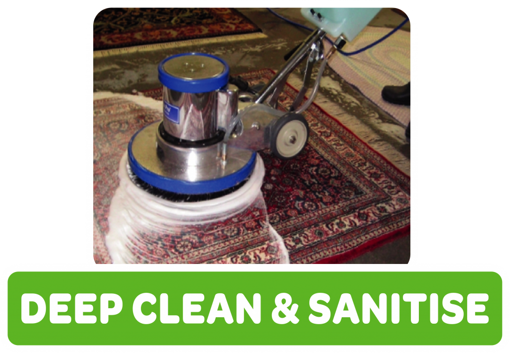 Cleaning rug with rug cleaner